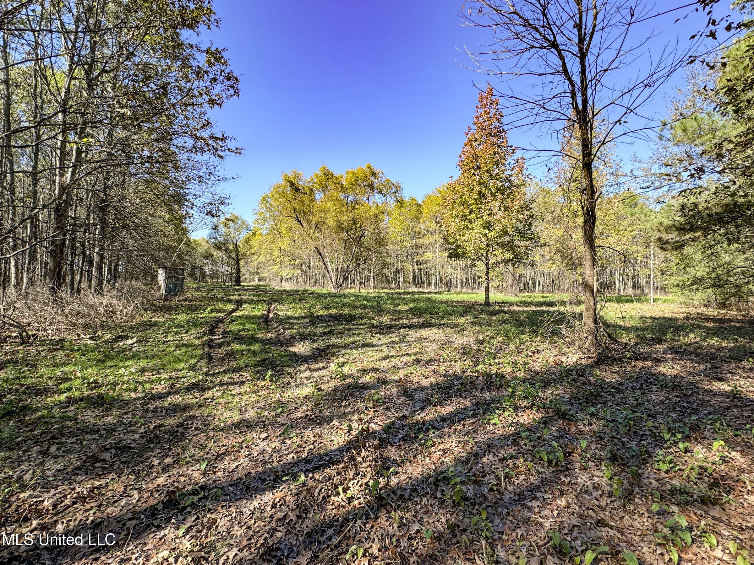 1111 Seven Road Batesville, MS 38606 - Photo 87 of 105 3sulv55
