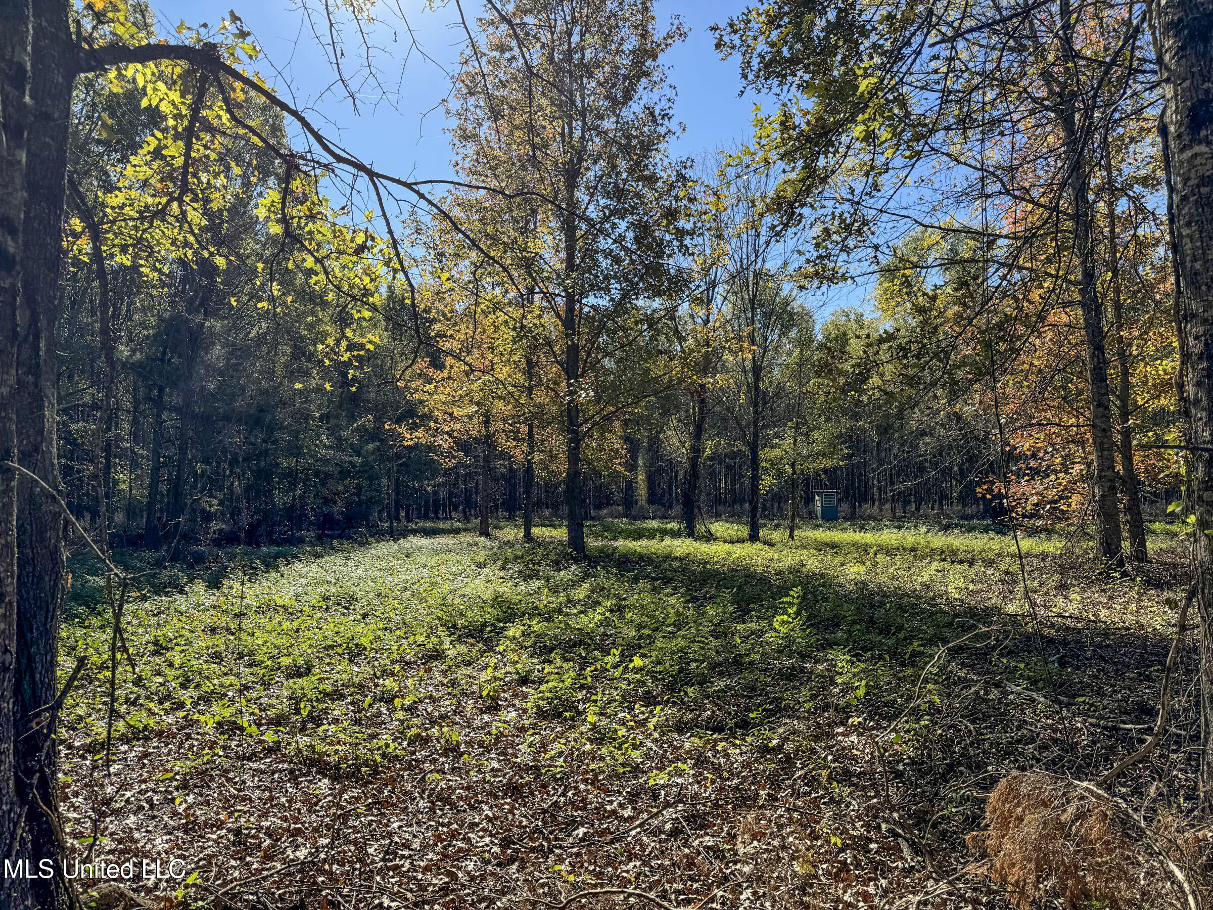 1111 Seven Road Batesville, MS 38606 - Photo 89 of 105 3sulv55b