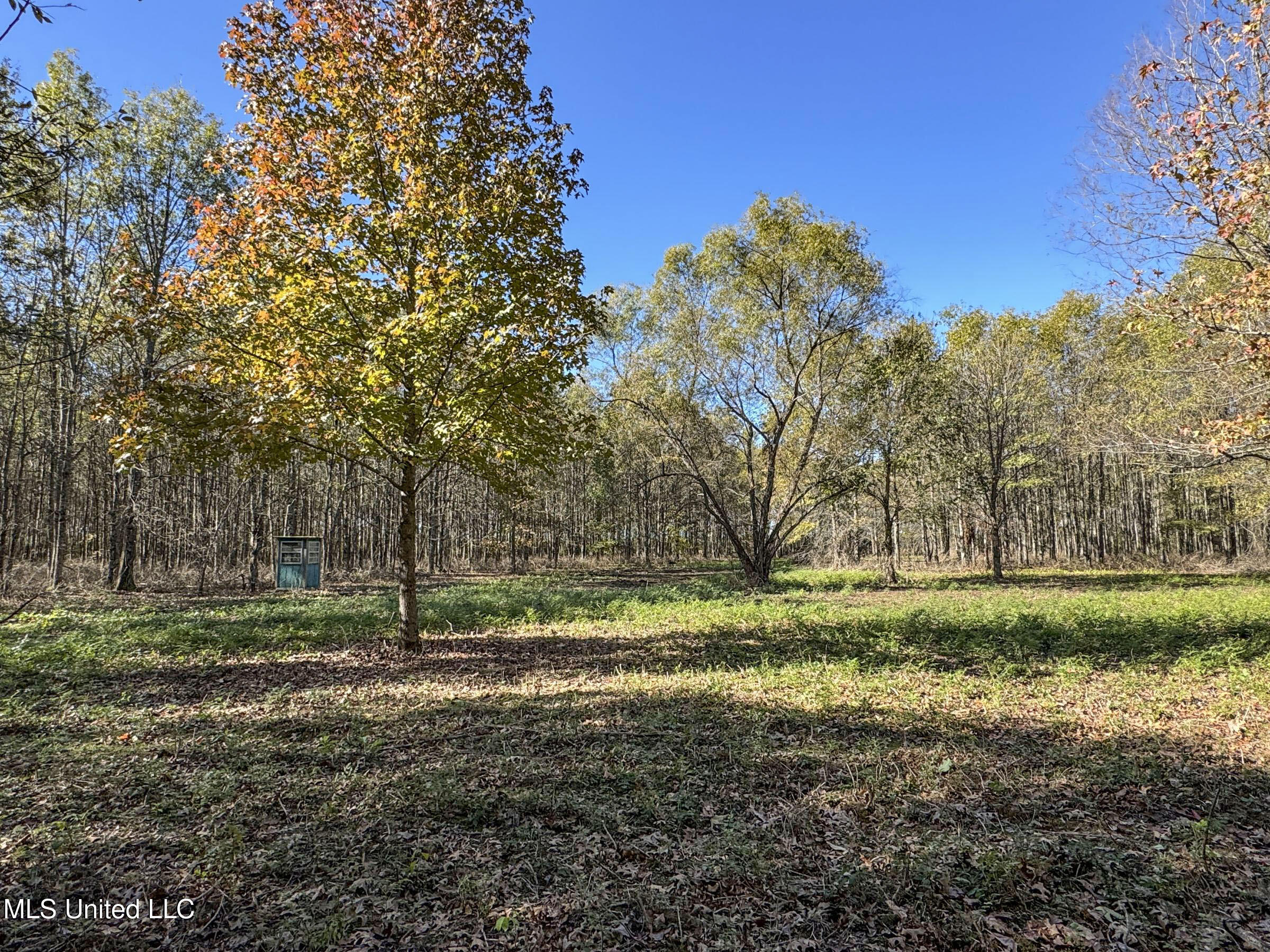 1111 Seven Road Batesville, MS 38606 - Photo 91 of 105 3sulv55d