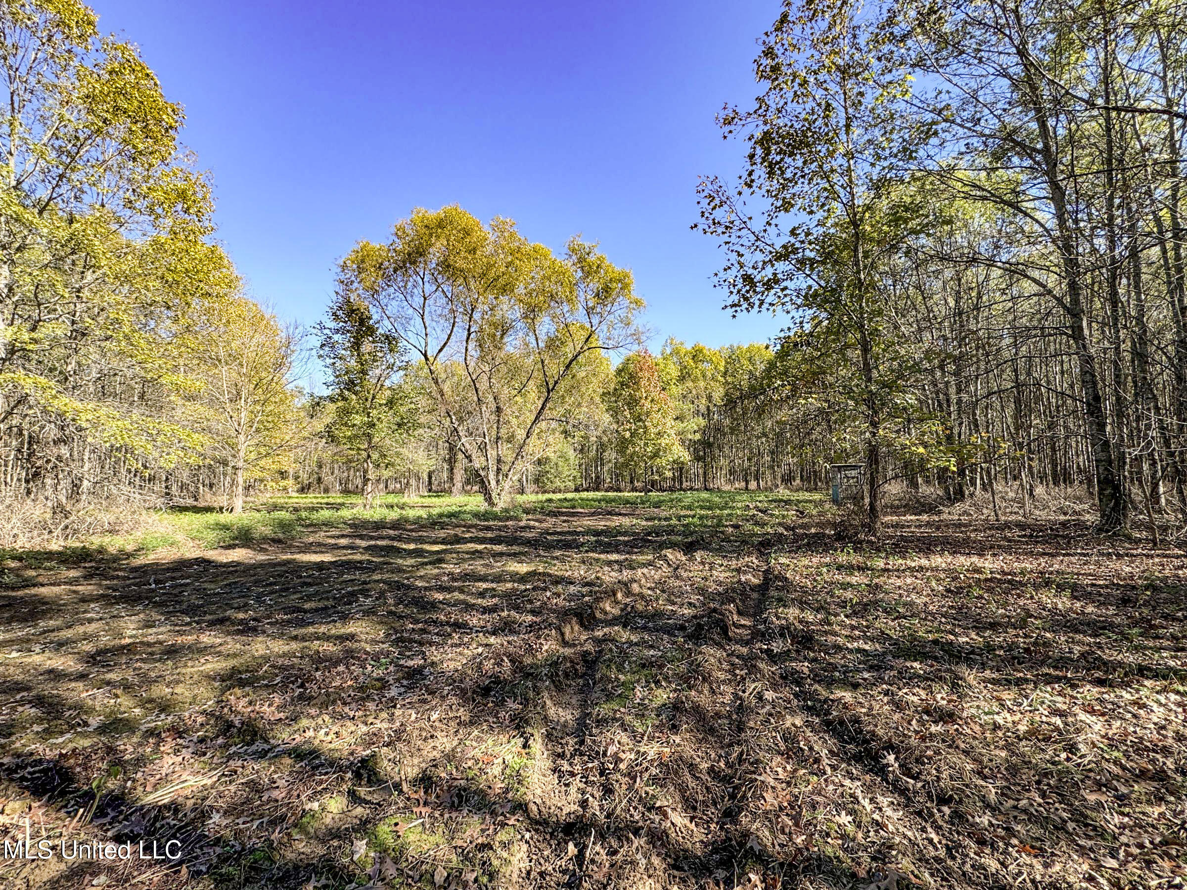 1111 Seven Road Batesville, MS 38606 - Photo 95 of 105 3sulv59