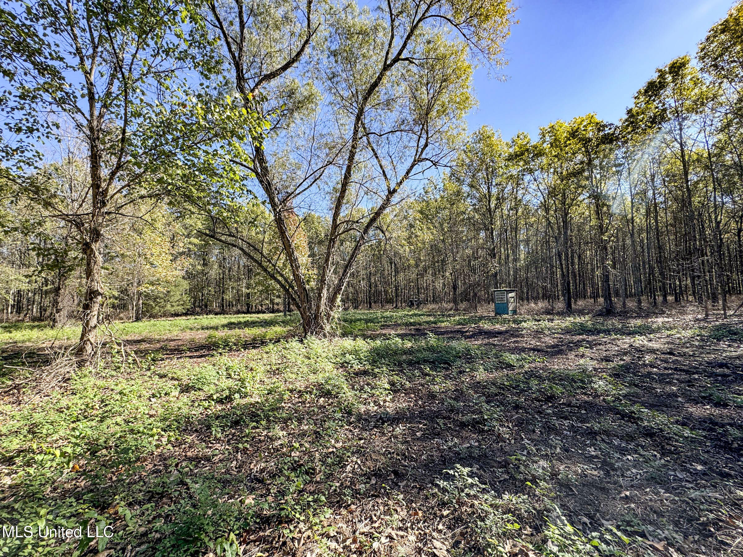 1111 Seven Road Batesville, MS 38606 - Photo 98 of 105 3sulv62