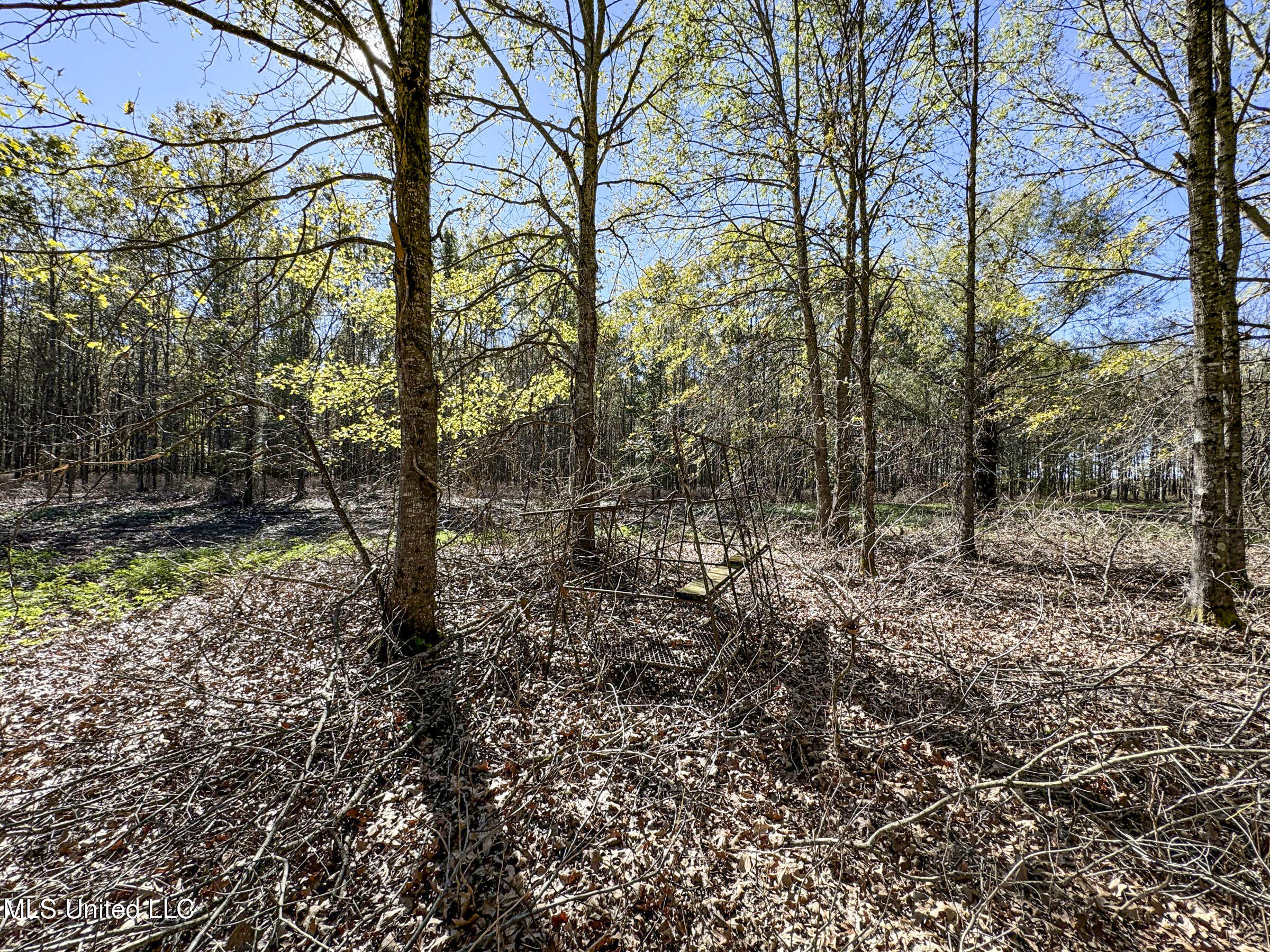 1111 Seven Road Batesville, MS 38606 - Photo 99 of 105 3sulv63