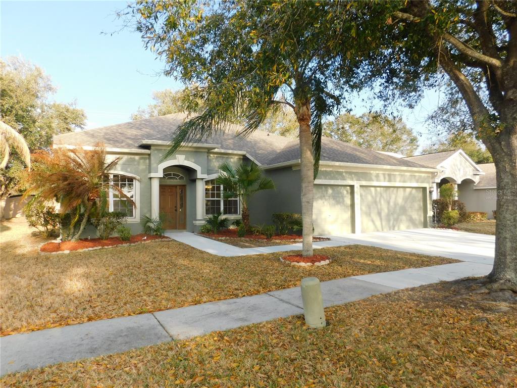 12902 Cattail Shore Lane Riverview, FL 33579 - Photo 1 of 46