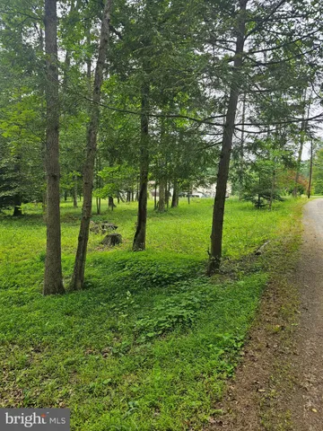 $45,000 | 0 Pisgah Rest, Shermans Dale, PA 17090