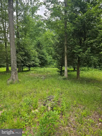 $45,000 | 0 Pisgah Rest, Shermans Dale, PA 17090