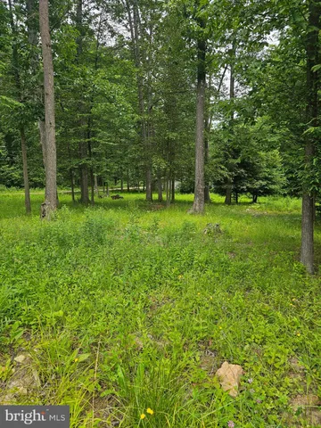 a view of a field with an outdoor space