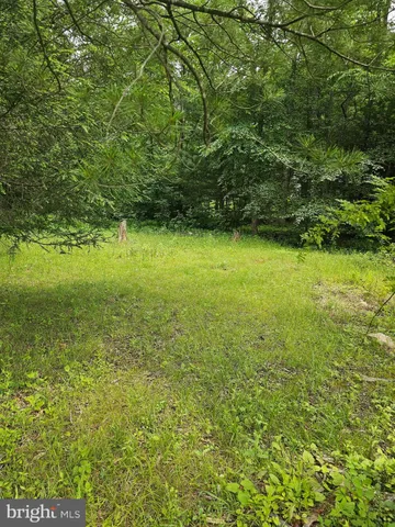 a view of yard from a yard