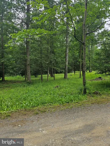 a green field with lots of trees