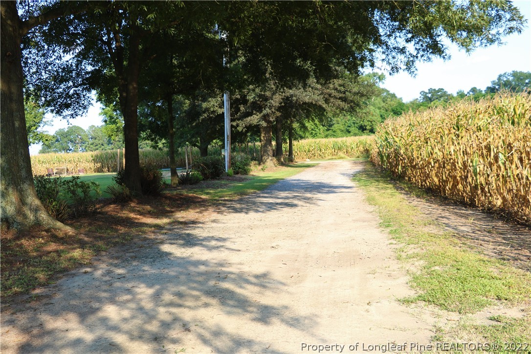 2101 Wilson Road Red Springs, NC 28377 - Photo 12 of 38 Gallery Image 12