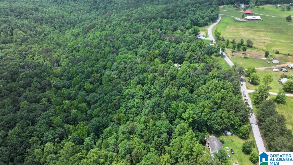 570 Culwell Road Hayden, AL 35079 - Photo 13 of 21