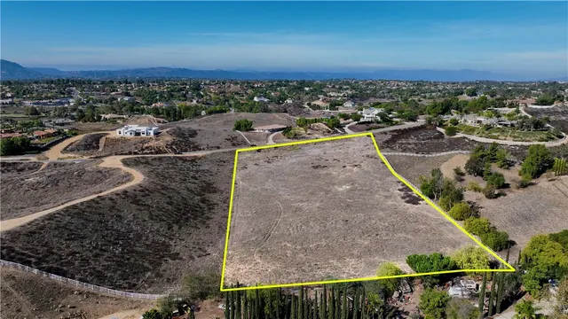 a view of a yard with plants