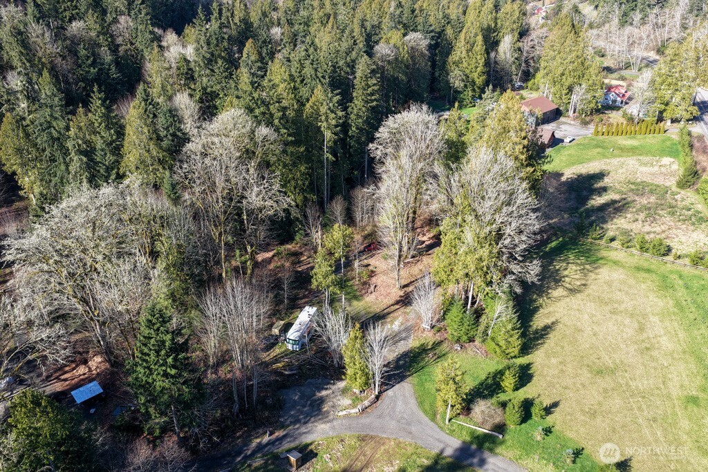 26663 Big Valley Road Northeast Poulsbo, WA 98370 - Photo 13 of 40 a view of plant in middle of green field