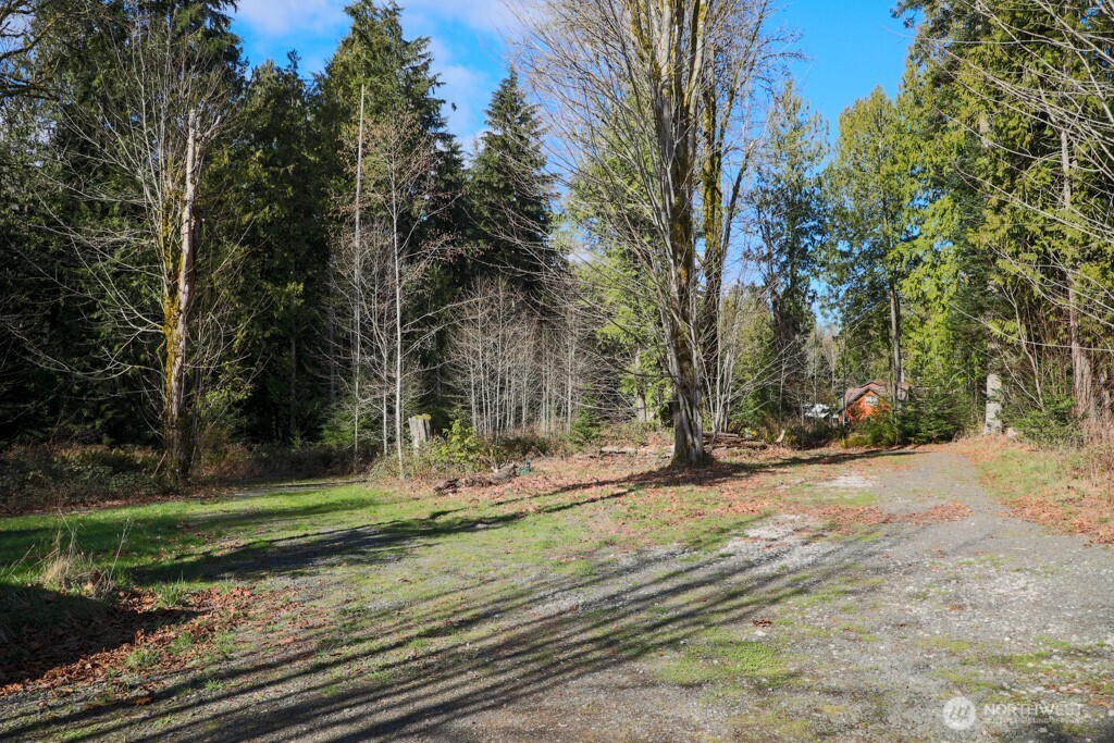26663 Big Valley Road Northeast Poulsbo, WA 98370 - Photo 16 of 40 a view of a tree in the middle of a yard