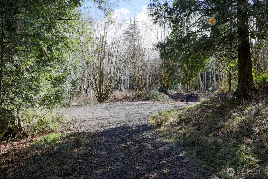 26663 Big Valley Road Northeast Poulsbo, WA 98370 - Photo 22 of 40 a view of dirt yard with a tree
