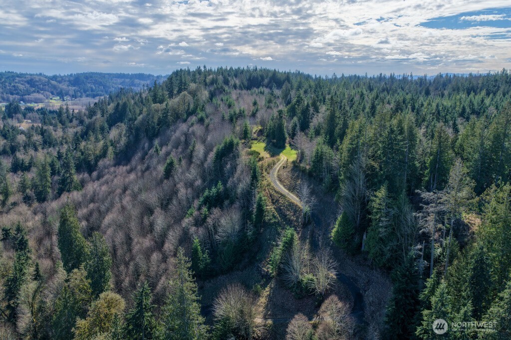 26663 Big Valley Road Northeast Poulsbo, WA 98370 - Photo 27 of 40 a view of a forest with a yard