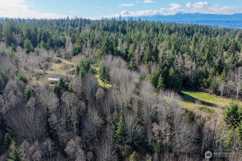 26663 Big Valley Road Northeast Poulsbo, WA 98370 - Photo 28 of 40 a view of a lush green forest with trees and some houses