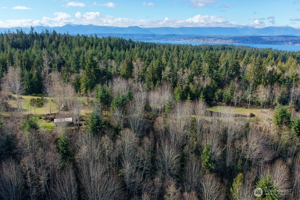 26663 Big Valley Road Northeast Poulsbo, WA 98370 - Photo 29 of 40 a view of a lush green forest with a lake in the background