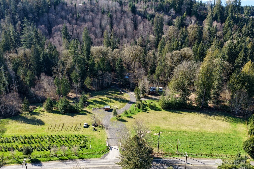 26663 Big Valley Road Northeast Poulsbo, WA 98370 - Photo 3 of 40 a view of backyard with green space