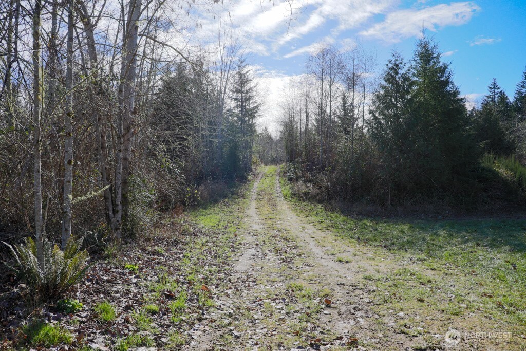 26663 Big Valley Road Northeast Poulsbo, WA 98370 - Photo 32 of 40 a view of a yard