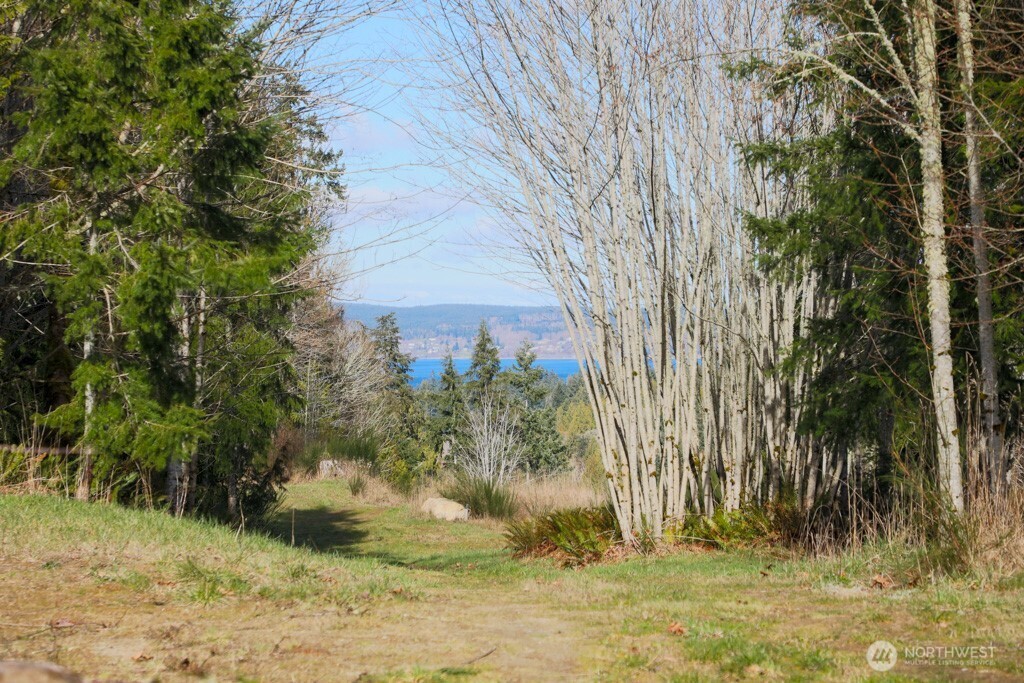 26663 Big Valley Road Northeast Poulsbo, WA 98370 - Photo 33 of 40 a view of a yard