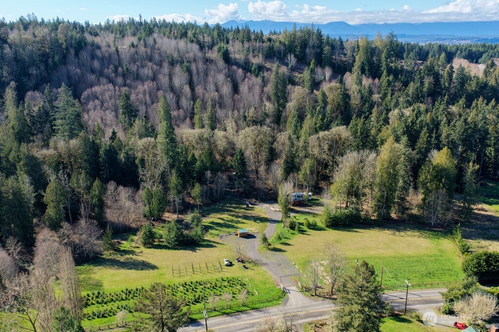 26663 Big Valley Road Northeast Poulsbo, WA 98370 - Photo 4 of 40 a view of a park with large trees