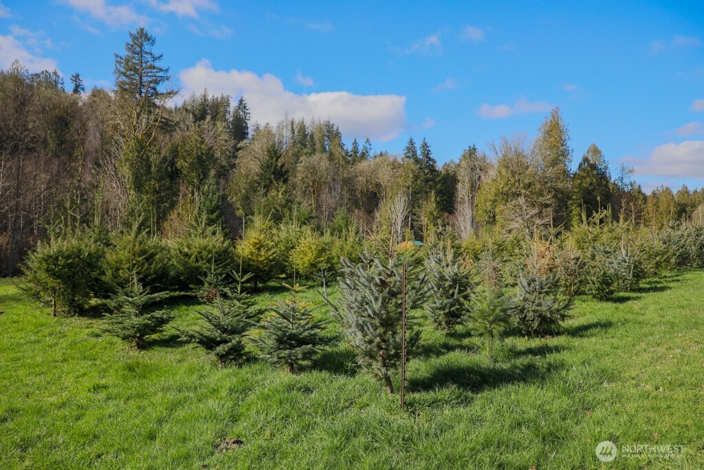 26663 Big Valley Road Northeast Poulsbo, WA 98370 - Photo 9 of 40 a view of a lush green space