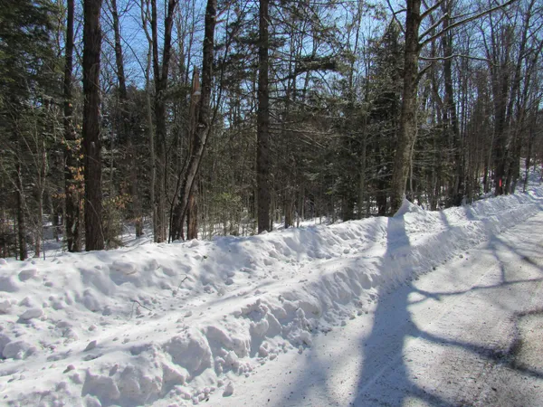 $55,000 | -f-320 Bourbon Run Road, Jamaica, VT 05343