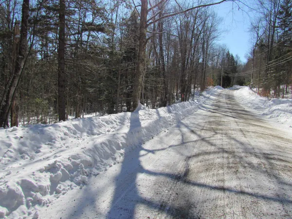 $55,000 | -f-320 Bourbon Run Road, Jamaica, VT 05343