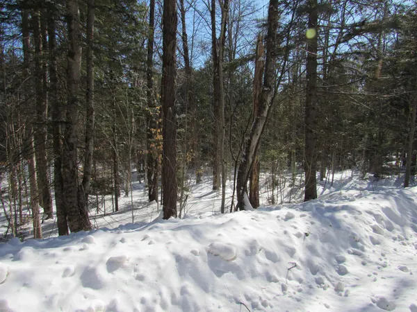 $55,000 | -f-320 Bourbon Run Road, Jamaica, VT 05343