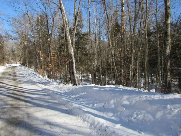 $55,000 | -f-320 Bourbon Run Road, Jamaica, VT 05343