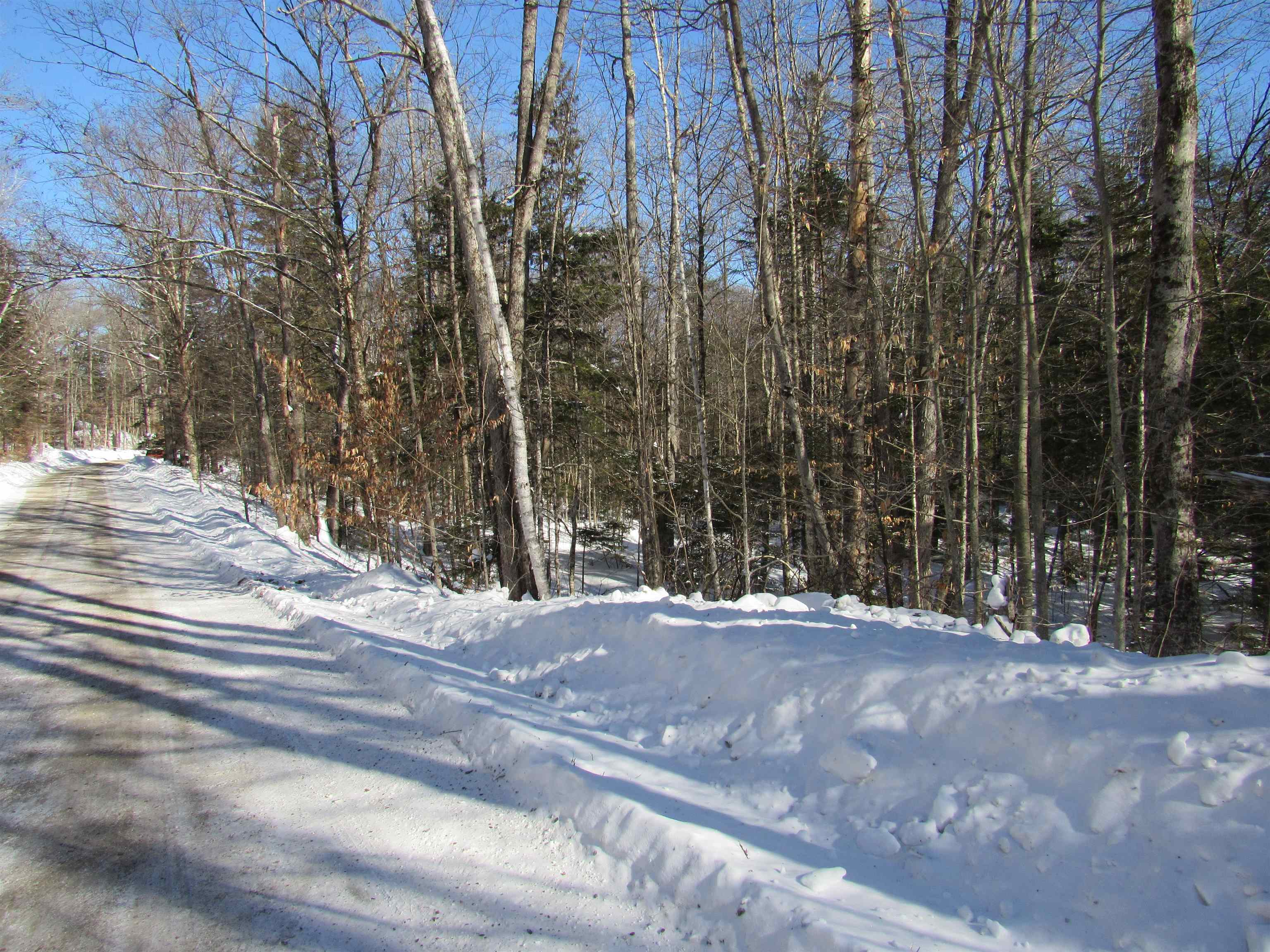 -f-320 Bourbon Run Road Jamaica, VT 05343 - Photo 4 of 5