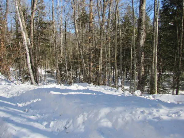 $55,000 | -f-320 Bourbon Run Road, Jamaica, VT 05343