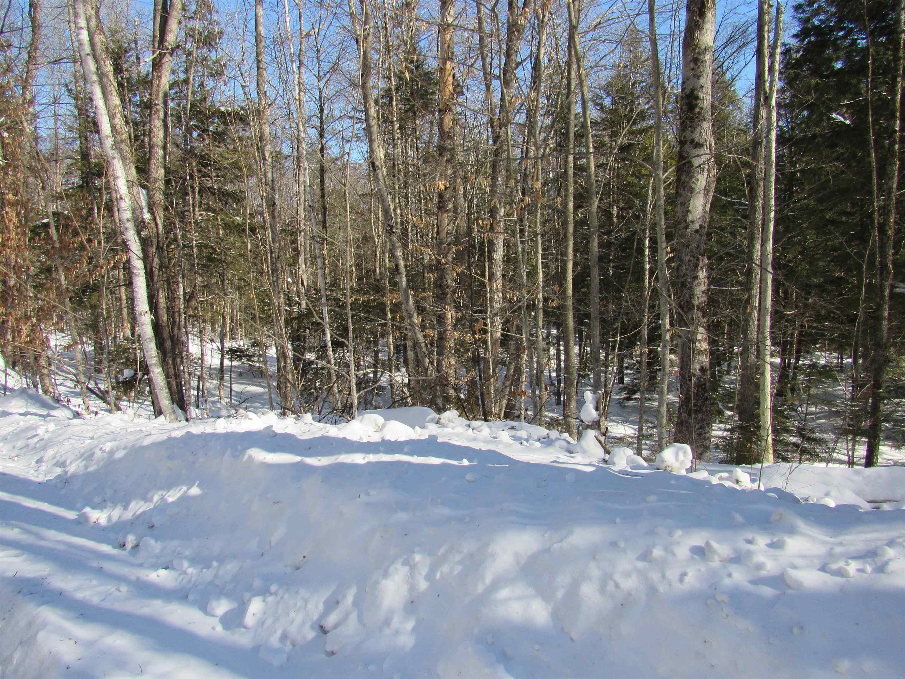 -f-320 Bourbon Run Road Jamaica, VT 05343 - Photo 5 of 5