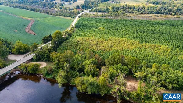 a view of a garden with a bench and trees