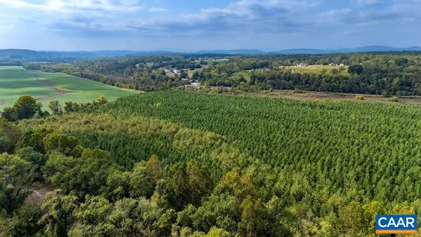 a view of a lush green hillside and a houses