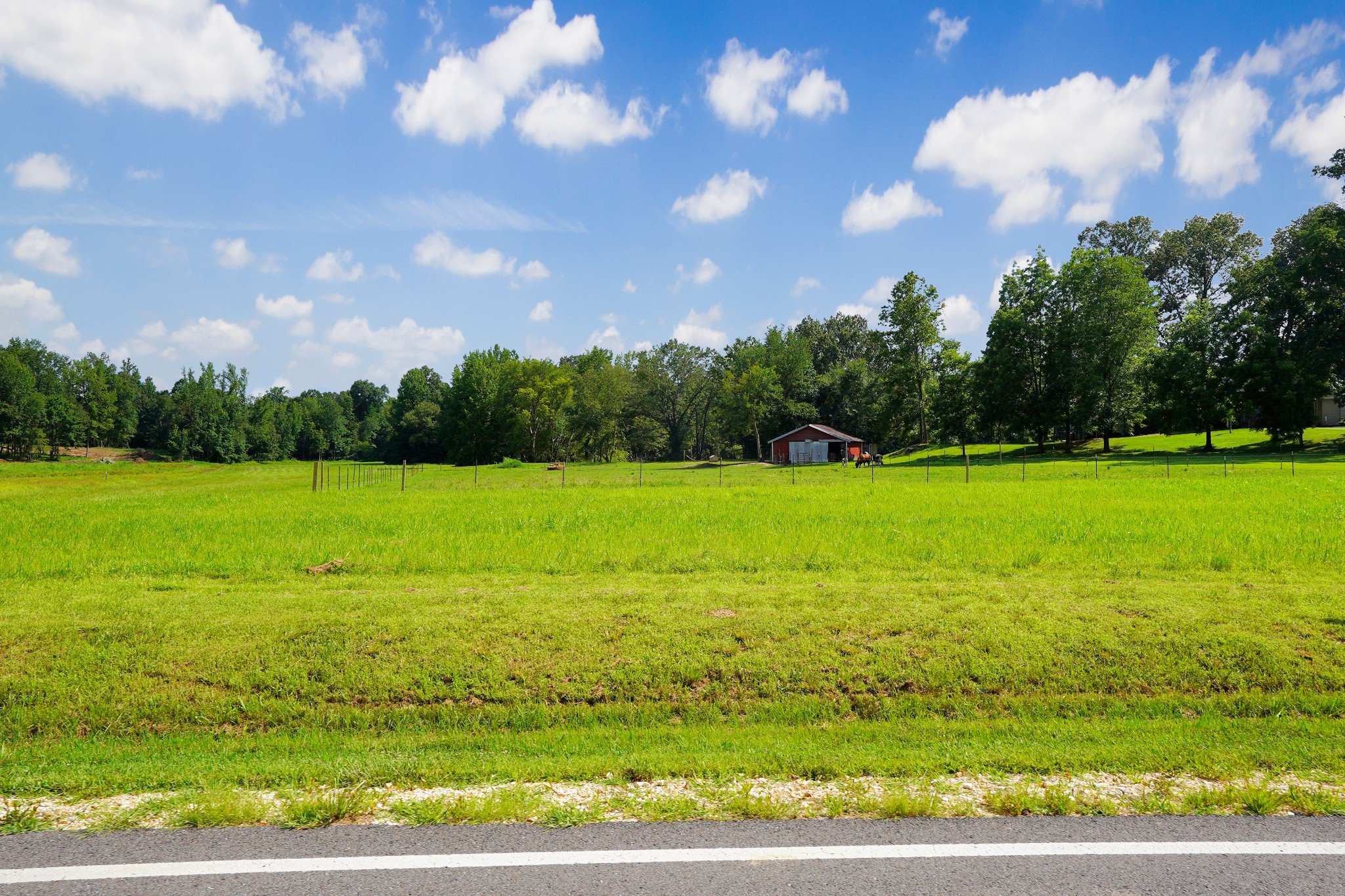 2340 Guthrie Road Paris, TN 38242 - Photo 2 of 44 Gallery Image 2