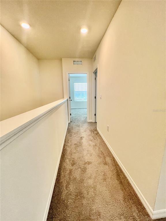 32557 Turtle Grace Loop Wesley Chapel, FL 33545 - Photo 11 of 35