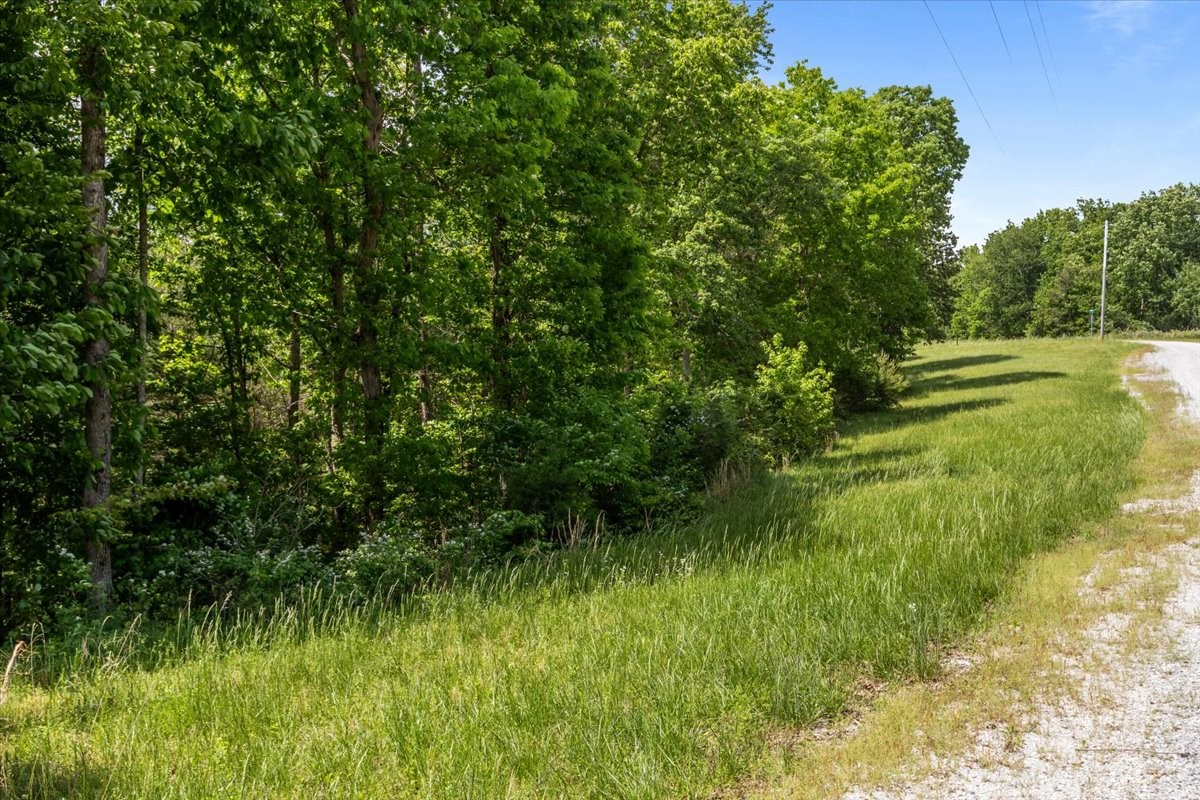 0 Western Road Waverly, TN 37185 - Photo 5 of 18