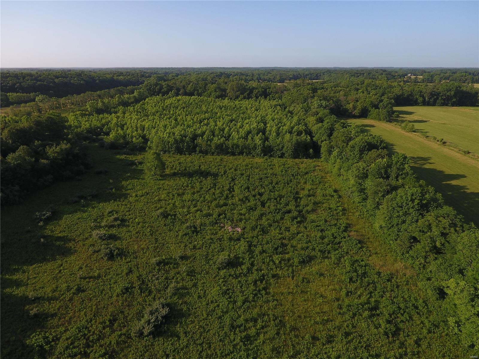 0 East Monet Road Texico, IL 62889 - Photo 1 of 14