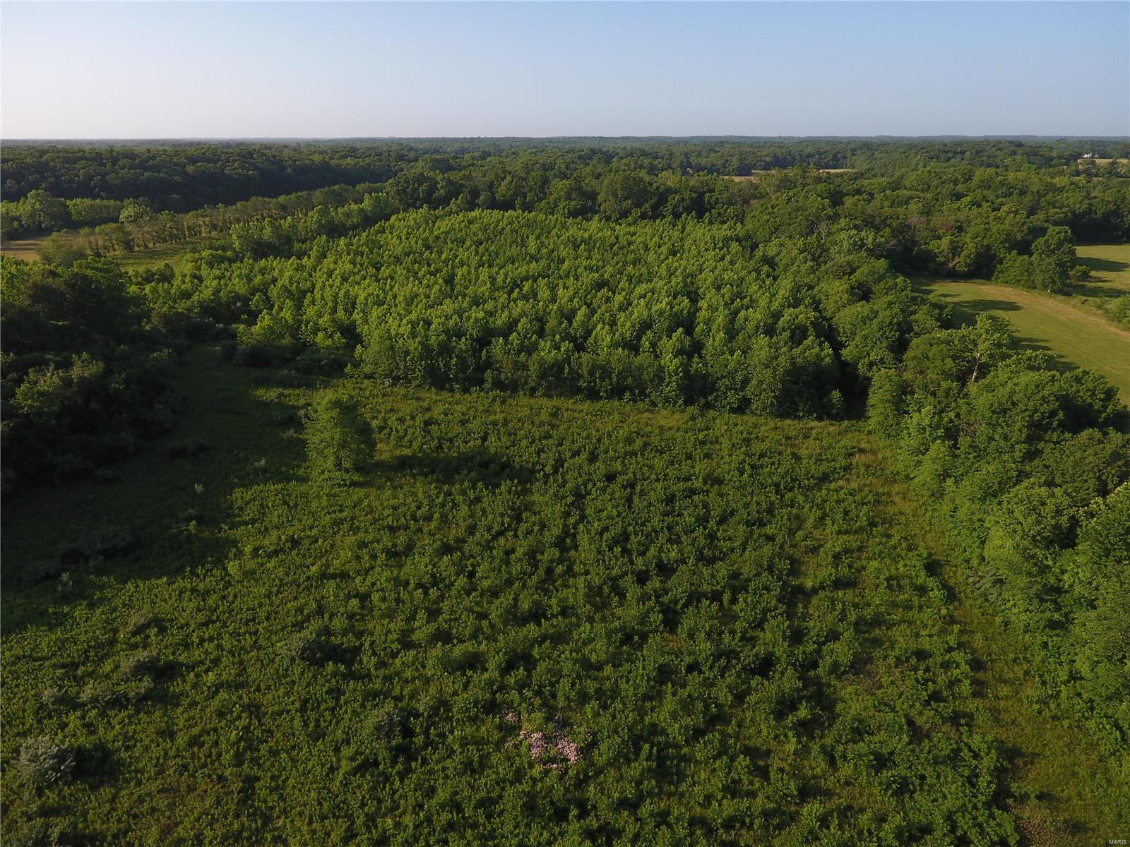 0 East Monet Road Texico, IL 62889 - Photo 2 of 14