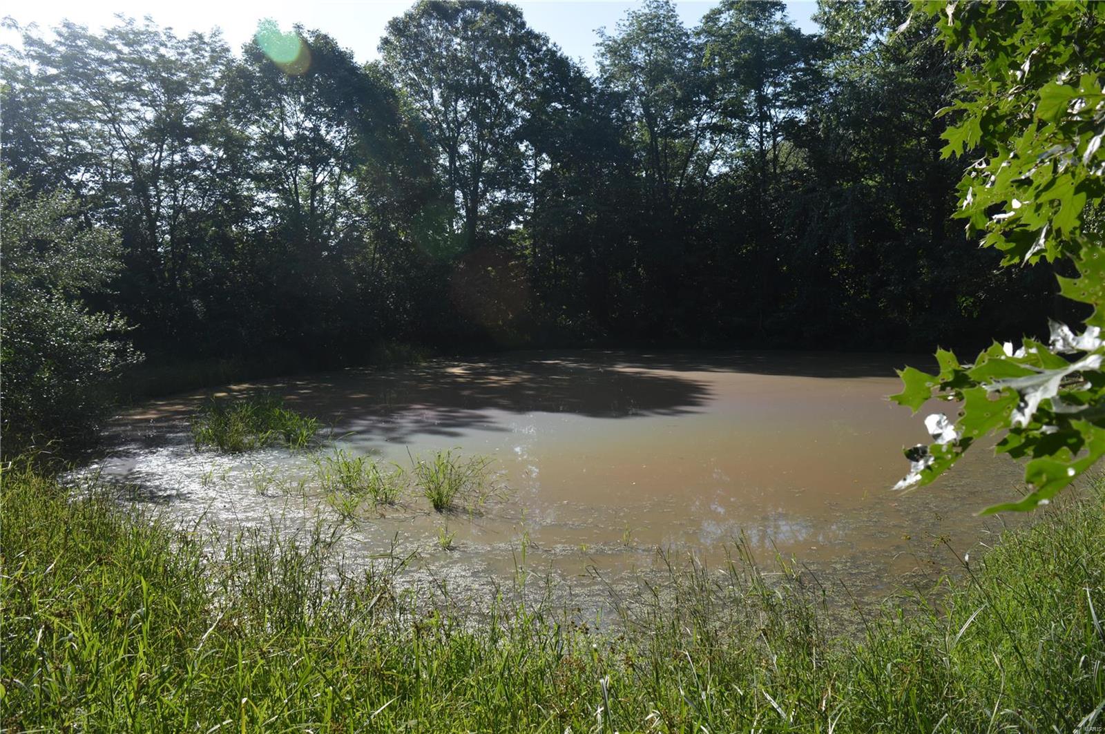 0 East Monet Road Texico, IL 62889 - Photo 11 of 14