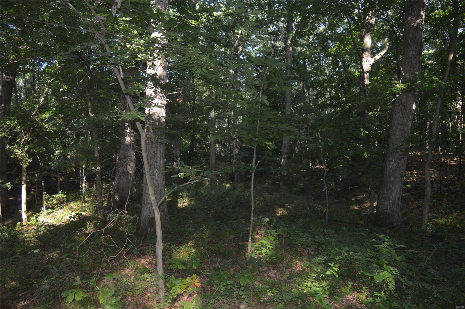 0 East Monet Road Texico, IL 62889 - Photo 14 of 14