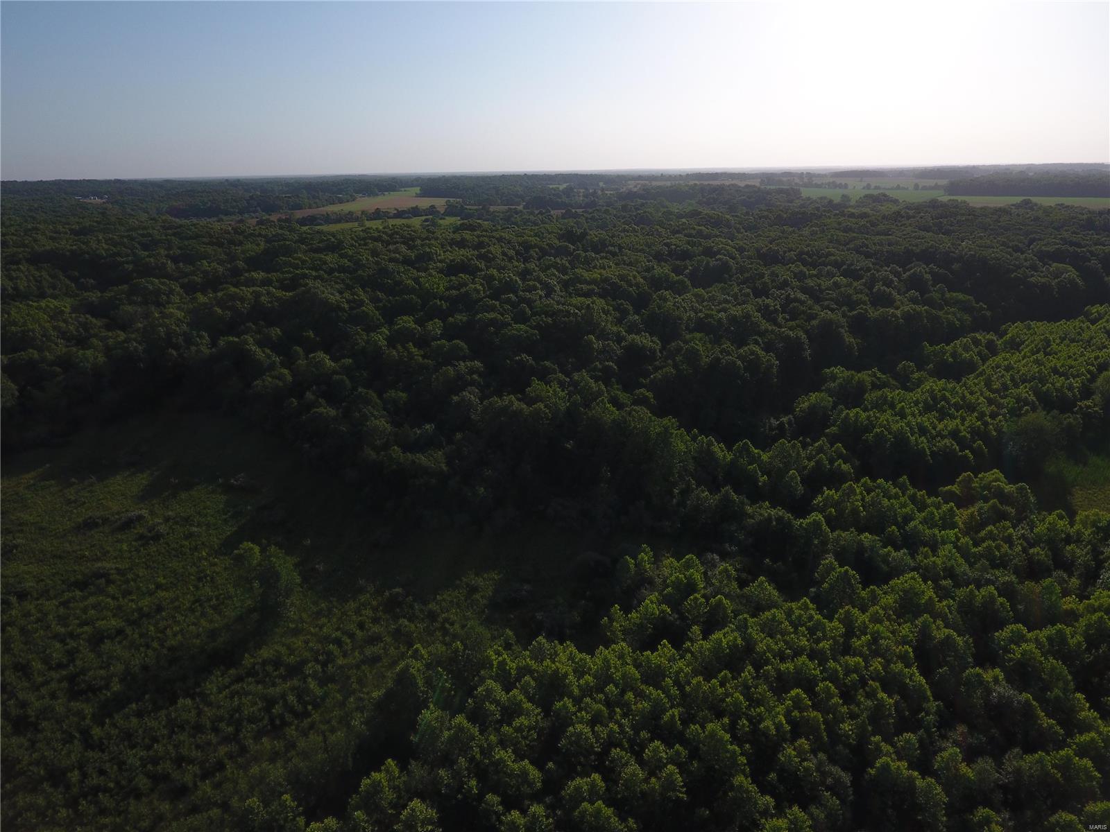 0 East Monet Road Texico, IL 62889 - Photo 3 of 14