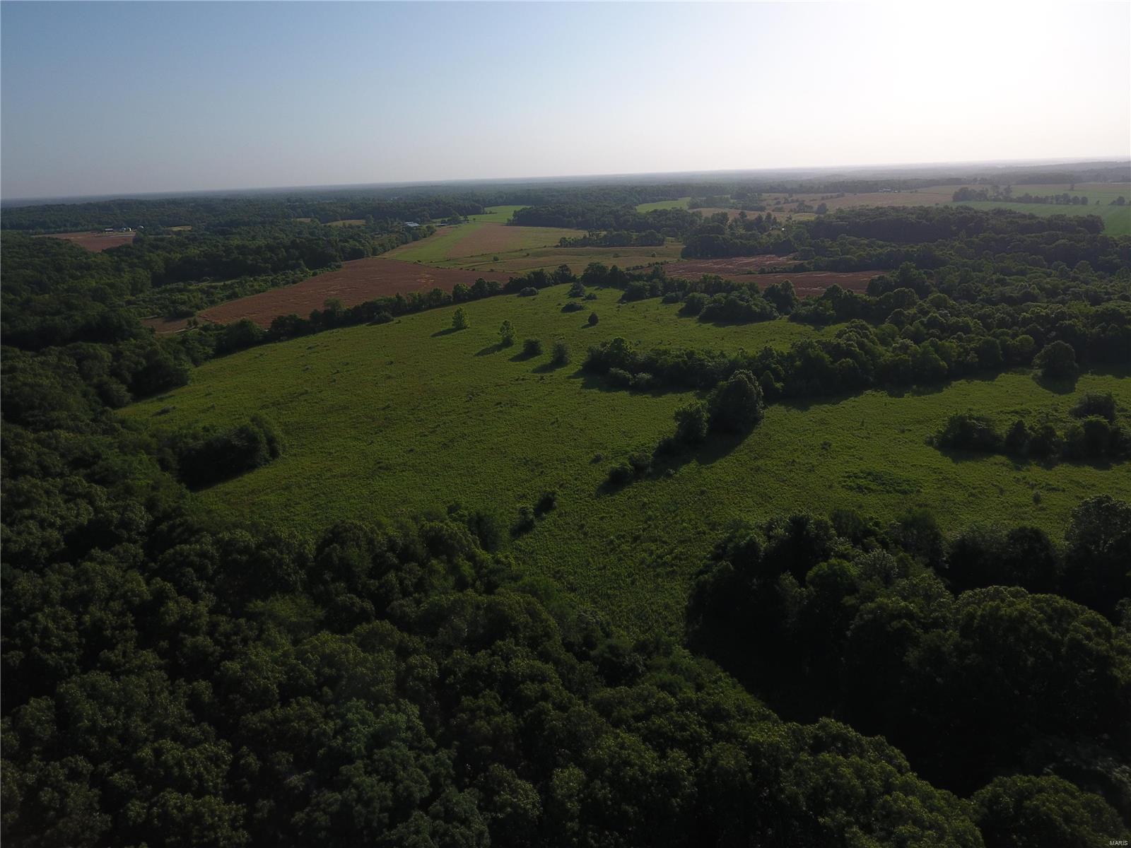 0 East Monet Road Texico, IL 62889 - Photo 4 of 14