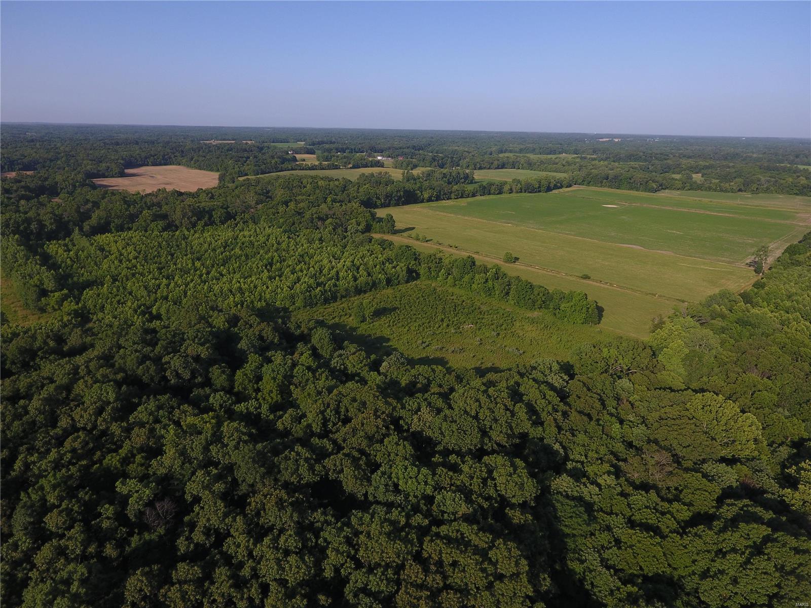 0 East Monet Road Texico, IL 62889 - Photo 5 of 14