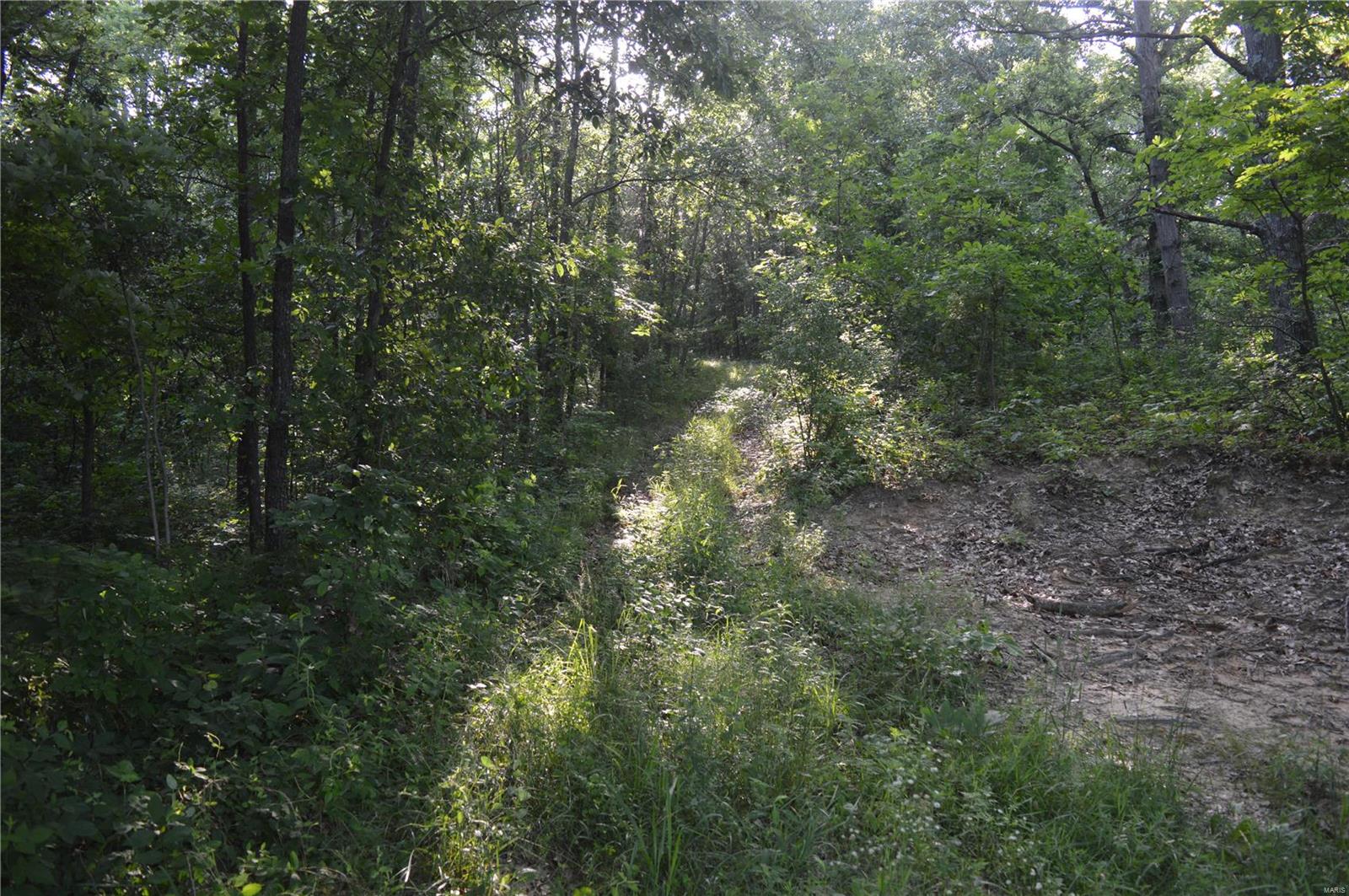 0 East Monet Road Texico, IL 62889 - Photo 7 of 14