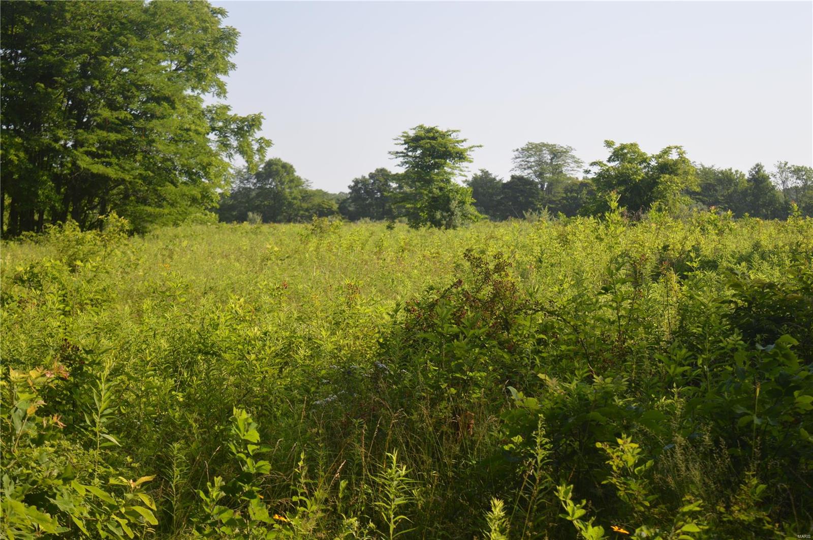 0 East Monet Road Texico, IL 62889 - Photo 10 of 14