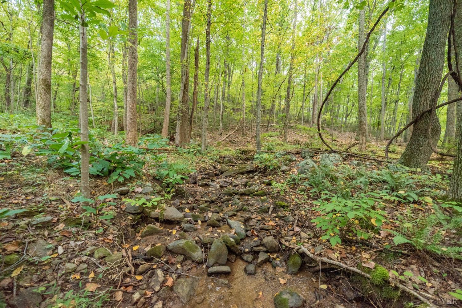 6220 Charlemont Road Goode, VA 24556 - Photo 11 of 24 a view of a garden