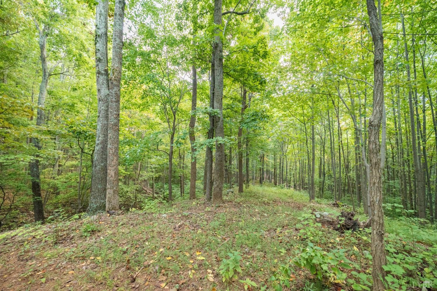 6220 Charlemont Road Goode, VA 24556 - Photo 12 of 24 a view of outdoor space and green space