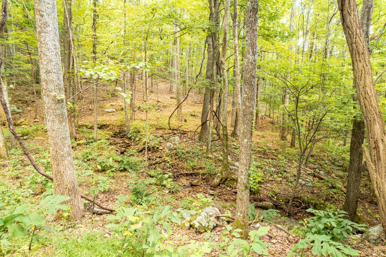 6220 Charlemont Road Goode, VA 24556 - Photo 13 of 24 a bathroom with a shower curtain